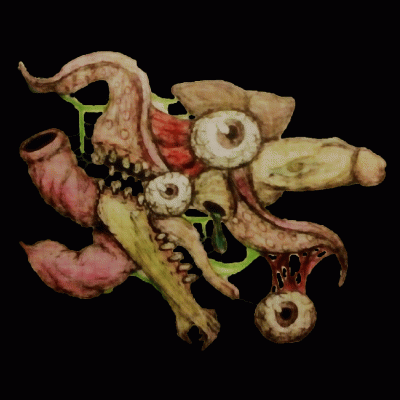 logo Uteracidifecarnalaxativerradication Intestimalform